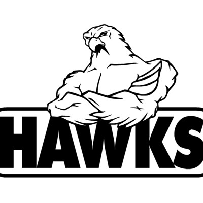 Hawk